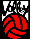 logo volley